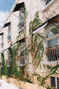 View of buildings in town