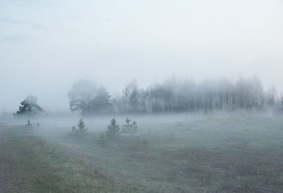 Trees on field against sky