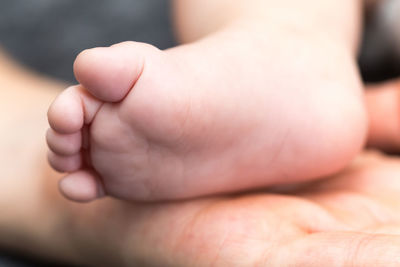 Cropped hand of person holding baby foot