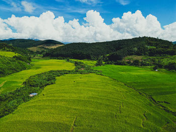 Scenic view of agricultural field against sky
