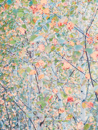 Full frame shot of tree
