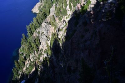 Panoramic view of trees and mountains