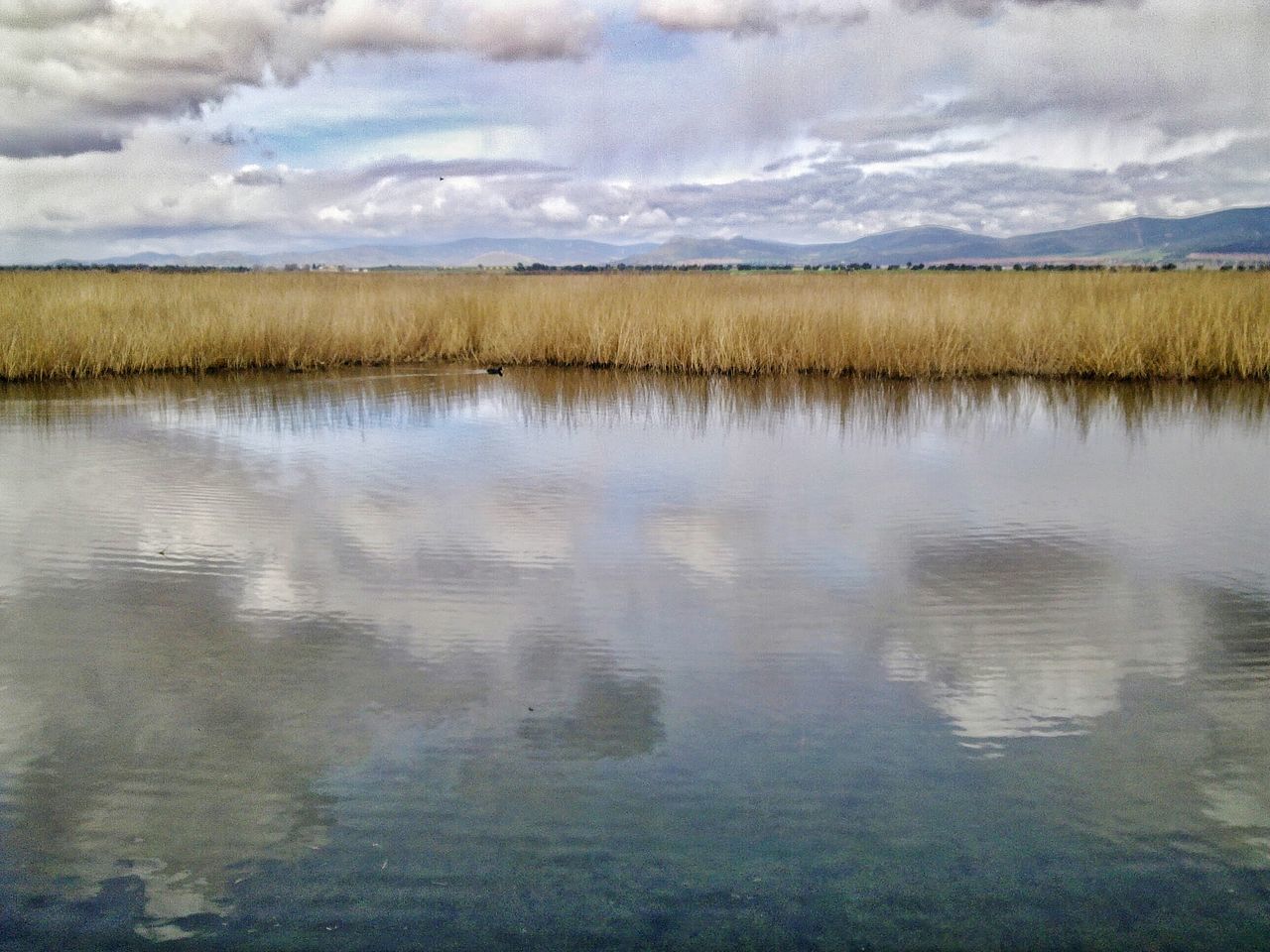 Parque Nacional Tablas de Daimiel