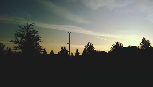 Silhouette trees against sky at sunset