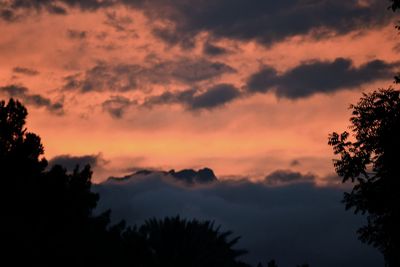 Silhouette trees against sky during sunset