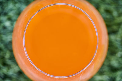 Directly above shot of frisbee on grass