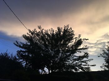 Low angle view of silhouette trees against sky at sunset