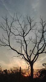 Silhouette bare tree against sky during sunset