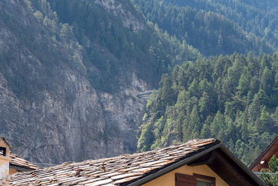 Panoramic shot of trees and buildings in forest