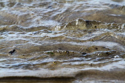 Scenic view of sea waves