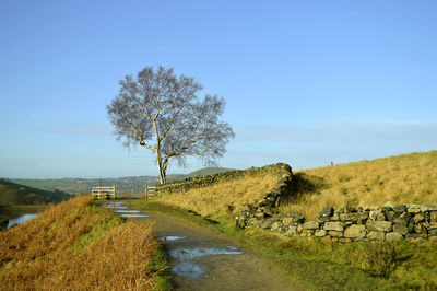 Dovestone reservoir above the village of greenfield