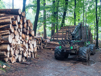 Scenic view of agricultural field