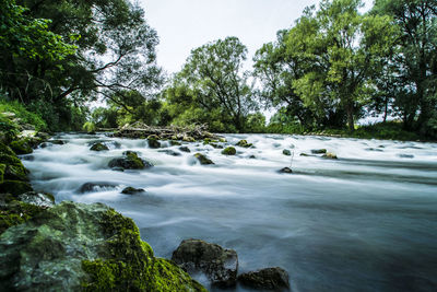 Stream flowing through forest