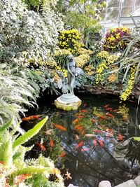 High angle view of statue amidst plants