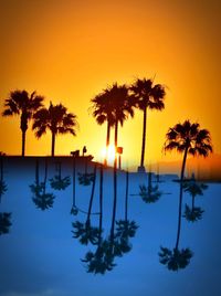 Silhouette palm trees by swimming pool against sky during sunset