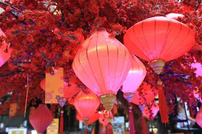 Close-up of lanterns hanging outdoors