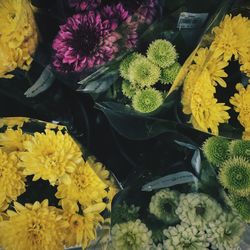 Close-up of various flowers at market stall