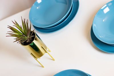 High angle view of potted plant by plates and bowls on table