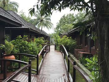 Empty walkway amidst plants and trees by building