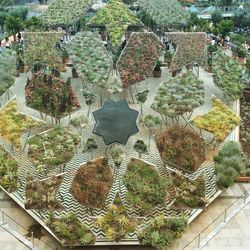 High angle view of plants