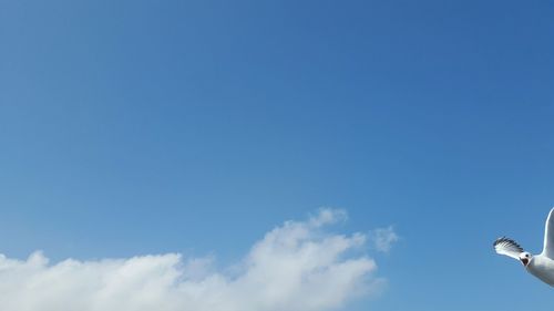 Low angle view of building against blue sky