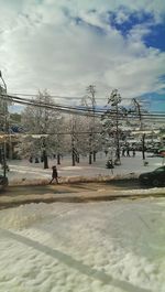Bare trees on snow covered landscape