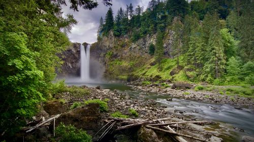 Scenic view of waterfall in forest