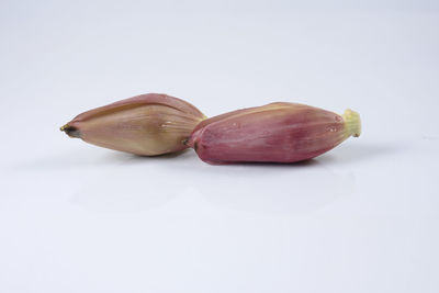 Close-up of fruits against white background