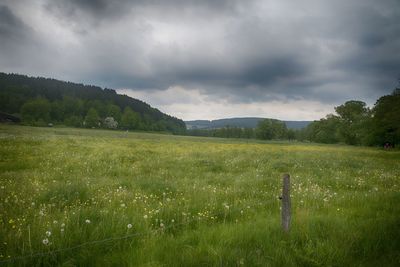 Scenic view of field against sky