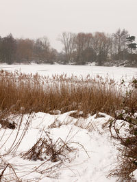 Scenic view of frozen lake against sky during winter