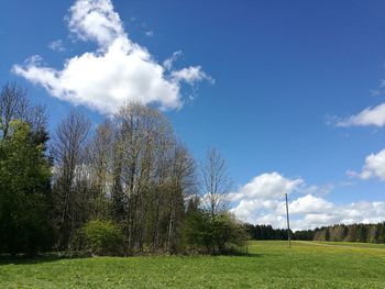 Trees on field against sky