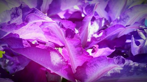 Full frame shot of white background