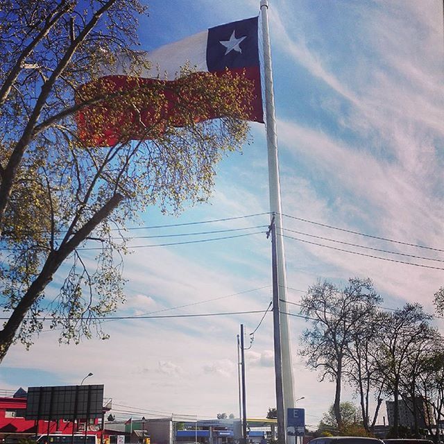 low angle view, architecture, building exterior, built structure, sky, tree, flag, cloud - sky, cloud, city, american flag, bare tree, patriotism, day, outdoors, national flag, street light, no people, building, identity