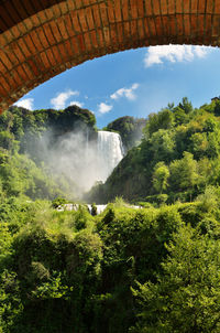 Scenic view of waterfall in forest