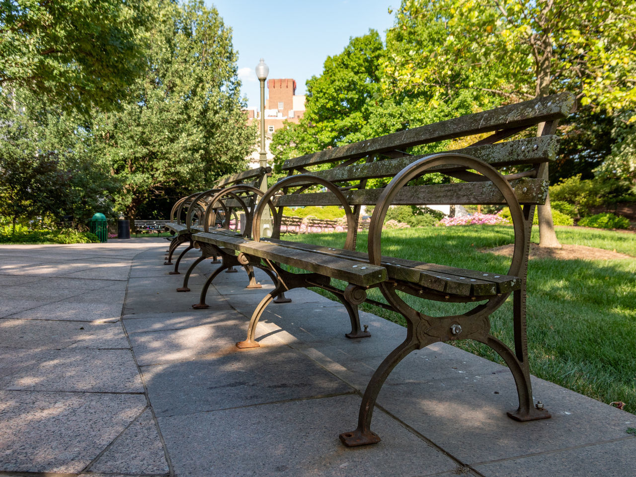 EMPTY BENCH BY STREET IN PARK