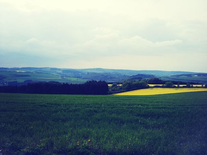 landscape, sky, tranquil scene, mountain, tranquility, field, scenics, beauty in nature, grass, cloud - sky, nature, mountain range, rural scene, cloudy, green color, cloud, grassy, agriculture, growth, non-urban scene