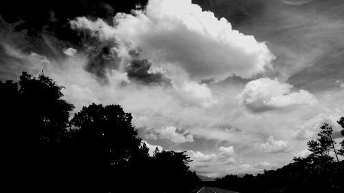 Low angle view of trees against cloudy sky