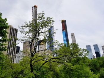 Low angle view of trees and buildings against sky