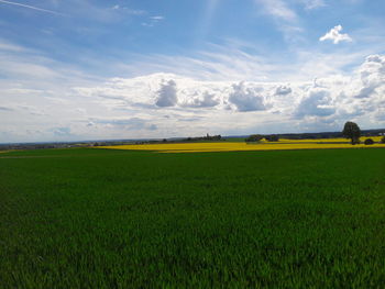 Scenic view of field against sky