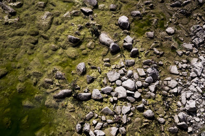 High angle view of stones in water