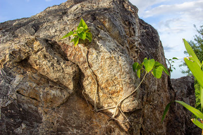 Low angle view of rocks on rock against sky