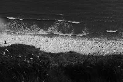 black and white