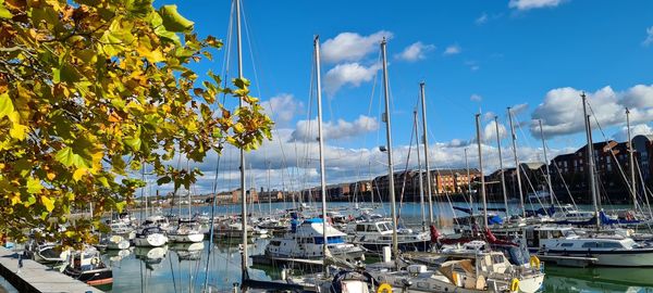 Boats moored at harbor