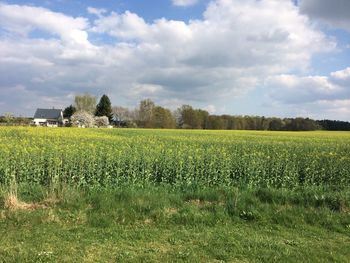 Scenic view of field against cloudy sky