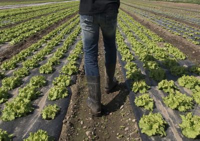 Low section of man standing on field