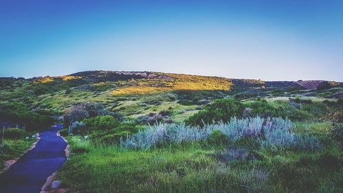 Scenic view of landscape against clear blue sky