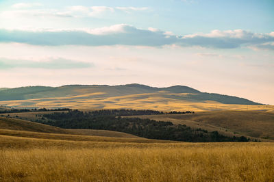 Scenic view of field against sky during sunset