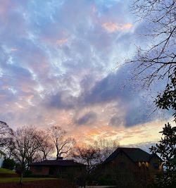 Houses and trees against sky during sunset