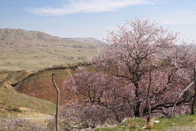 Close-up of sand against sky