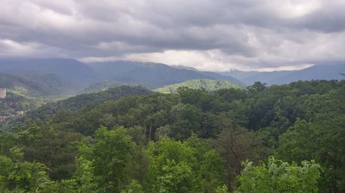 Scenic view of green landscape against sky